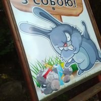 Мастер Роман БРА