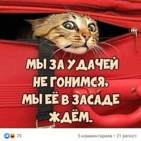 Бригада ВиЛеСа