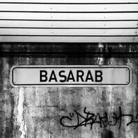 Бригада Basarab Group