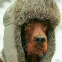 Бригада Cotikkk
