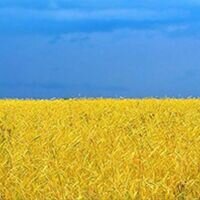 Бригада Ремонт по Украински